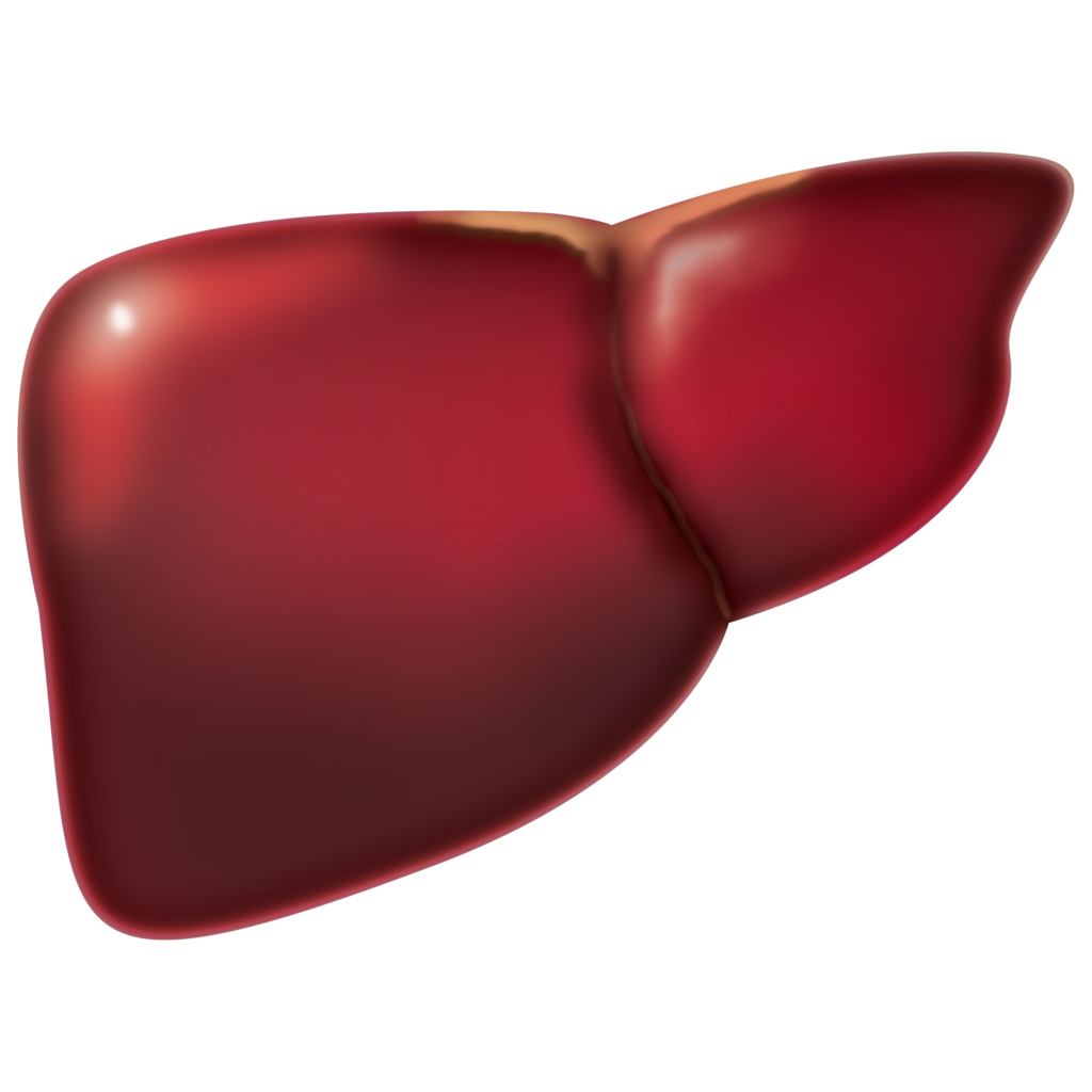 Liver Health tips in Hindi